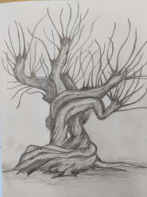 一幅鉛筆畫，描繪一棵光禿扭曲的樹，帶有紋理樹皮和伸展的樹枝。 — 2048x2732 壁紙