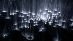 抽象數位分形，黑色背景上帶有發光白色光束和圓形節點 — 魔法森林 壁紙