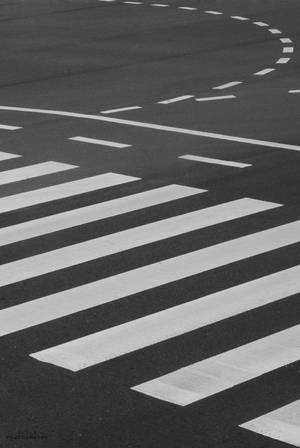 瀝青路面上斑馬線和道路標記的特寫。 — 街頭藝術 壁紙