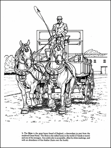 男子在鄉村環境中駕駛由兩匹夏爾馬拉動的馬車。 — 高解析度馬匹 壁紙