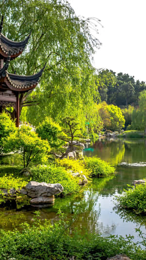 傳統中式亭閣，池塘旁，垂柳與綠意。 — 花園 壁紙