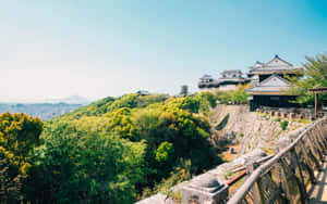 一座歷史悠久的日本城堡坐落在綠色山丘上，在陽光明媚的日子裡俯瞰城市。 — 日式自然壁紙