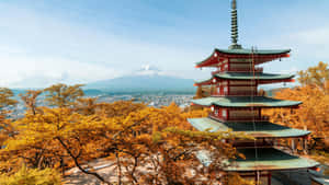 紅色寶塔被金色樹木環繞，背景為富士山。 — 日本櫻花 壁紙