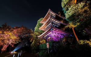 夜晚發光的日本寺廟，周圍環繞著被照亮的樹木。 — 東京 壁紙