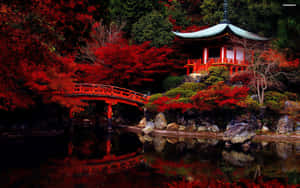 紅色橋樑和 pagoda 倒映在被秋葉環繞的水中。 — 日式海浪 壁紙