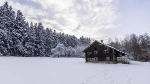 雪地中的質樸木屋，周圍環繞著常青樹。 — 冬季風景 壁紙