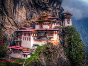 一座佛教寺院坐落在喜馬拉雅山的懸崖上，經幡飄揚。 — 叢林 壁紙