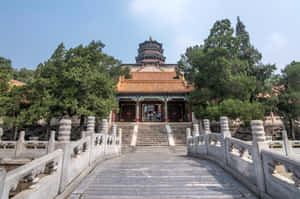 石橋通往一座被綠樹環繞的古老中國寺廟。 — 中國 壁紙