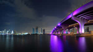 夜間，一座紫色燈光橋樑橫跨水面，背景是城市天際線。 — 邁阿密 壁紙