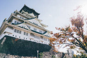 一座歷史悠久的日本城堡，有秋樹和清澈的藍天。 — 東京卍复仇者 壁紙