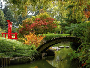一座石橋橫跨日本花園中的池塘，有秋樹和紅色鳥居。