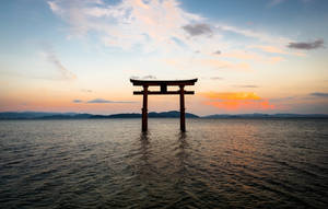 夕陽下水中傳統日本鳥居的剪影。 — 鳥居 壁紙
