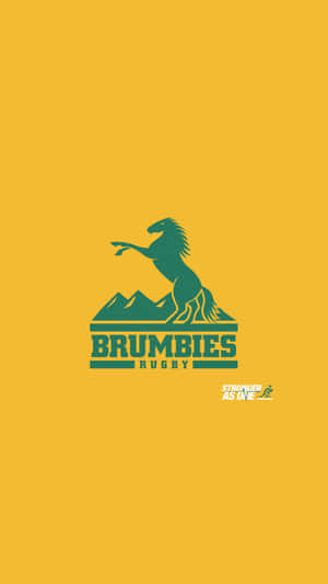 黃色背景上 Brumbies Rugby 的綠色馬標誌 — 澳洲內陸 壁紙