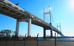 大型懸索橋橫跨港口，陽光普照 — 橫濱 壁紙