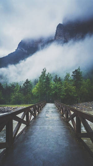 一座木橋穿過霧氣繚繞的森林，通往高聳的山脈。 — 山脈 壁紙