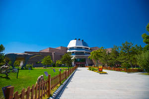 藍天下，現代博物館與恐龍雕像和綠色草坪。 — 博物館 壁紙