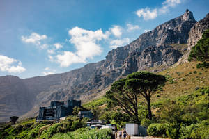 晴朗天空下山腳的現代建築與綠樹 — 開普敦 壁紙