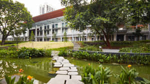 現代建築玻璃外牆，周圍環繞綠植和帶踏腳石的池塘。 — 花園 壁紙