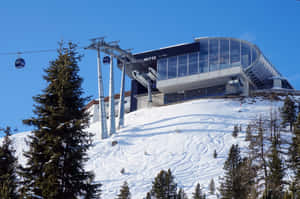 現代滑雪纜車站位於雪山，有常青樹和藍天。 — 冬季風景 壁紙