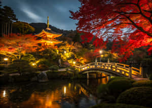 夜晚，一座亮燈的日本寶塔和石橋在紅楓樹下的水中倒映。 — 城市風景 壁紙