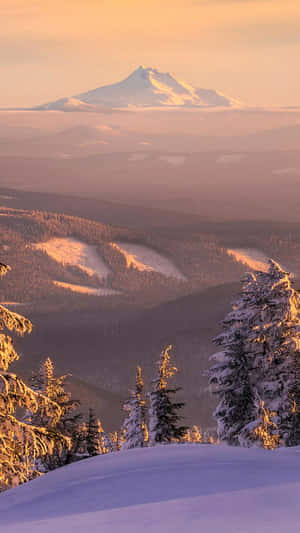 日出時積雪的山峰，結霜的松樹和層疊的山谷。 — 冬季風景 壁紙