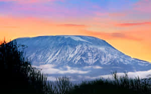 日出時雲海之上的積雪山峰和色彩繽紛的天空。 — 山脈 壁紙