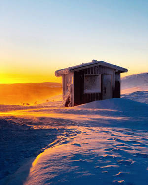 冬季風景中，日出時分一座被雪覆蓋的小木屋。 — 芬蘭 壁紙