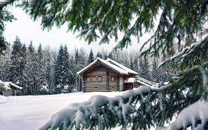 冬季森林中被雪覆蓋的小屋和常青樹 — 酷寒冬季 壁紙
