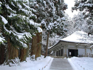 雪覆蓋著一座傳統日本神社，周圍環繞著高大的常青樹。 — 雪景 GIF 壁紙