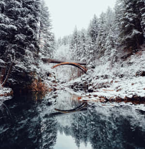 雪地森林，橋樑橫跨平靜河流，倒映樹木。 — Pixel 9 Pro Fold 壁紙