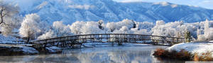 雪橋橫跨河流，有結霜的樹木和山脈在後 — 塔橋 壁紙