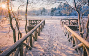日出時結冰湖上的雪木橋，樹木結霜 — 冬季風景 壁紙