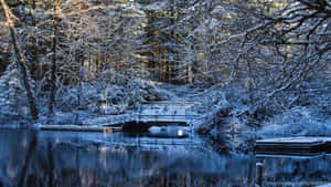 寧靜冬季森林中，結冰湖泊上的雪橋。 — 冬季風景 壁紙