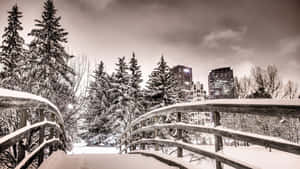 冬季森林中積雪的木橋，背景有城市建築。 — 冬季美學 壁紙