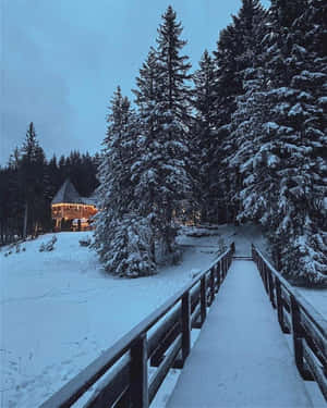 冬日森林中，暮色下通往亮燈小屋的雪橋。 — 冬季房屋 壁紙