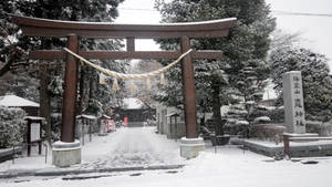 雪覆蓋了日本神社入口的木製鳥居。 — 鳥居 壁紙