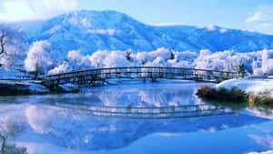 雪橋橫跨平靜的河流，水中倒映著山脈和結霜的樹木。 — 冬季風景 壁紙
