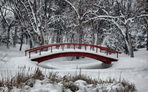 雪地冬季森林中的紅色拱橋，覆蓋著雪的樹木和結冰的小溪。 — 冬季風景 壁紙