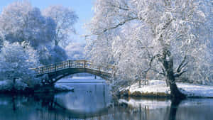 4K 電腦背景 — 塔橋 壁紙