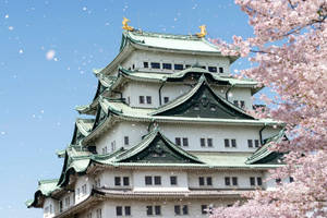 一座傳統的日本城堡，在清澈的藍天下被粉紅色櫻花環繞。 — 東京鐵塔 壁紙