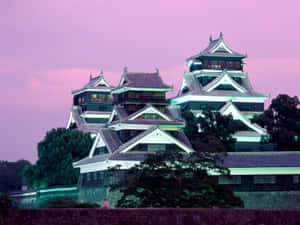 傳統日本城堡在暮色中，粉紅色天空和綠色樹木。 — 紫色樹木 壁紙