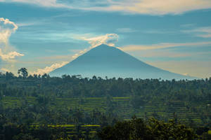 俯瞰熱帶景觀中梯田的火山 — 風景 壁紙