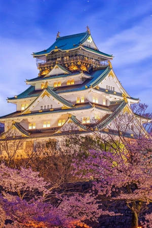 暮色中，粉紅櫻花襯托下的燈光璀璨的日本城堡。 — 城堡動畫 壁紙