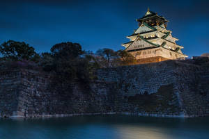 夜晚燈光璀璨的日本城堡倒映在平靜的護城河水中。