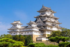 白色日本城堡，分層屋頂，周圍綠樹環繞，藍天之下。 — 城堡動畫 壁紙