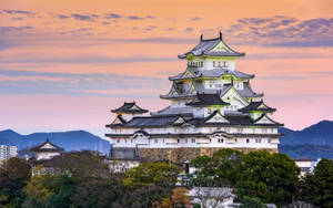 夕陽下的傳統日本城堡，粉紅和橙色天空 — 城堡動畫 壁紙
