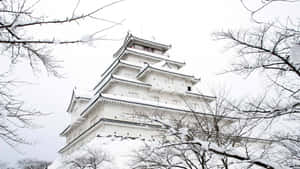 冬日光禿樹枝框住的雪覆蓋日本城堡。 — 冬季風景 壁紙
