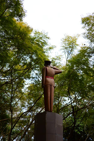 青銅士兵雕像在公園中敬禮，周圍樹木環繞。 — 雕塑 壁紙
