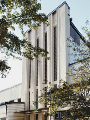 陽光普照的日子裡，被綠樹環繞的裝飾藝術風格建築 — 2048x2732 壁紙