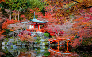 紅色寶塔和橋樑倒映在秋樹間的水中。 — 日式 壁紙